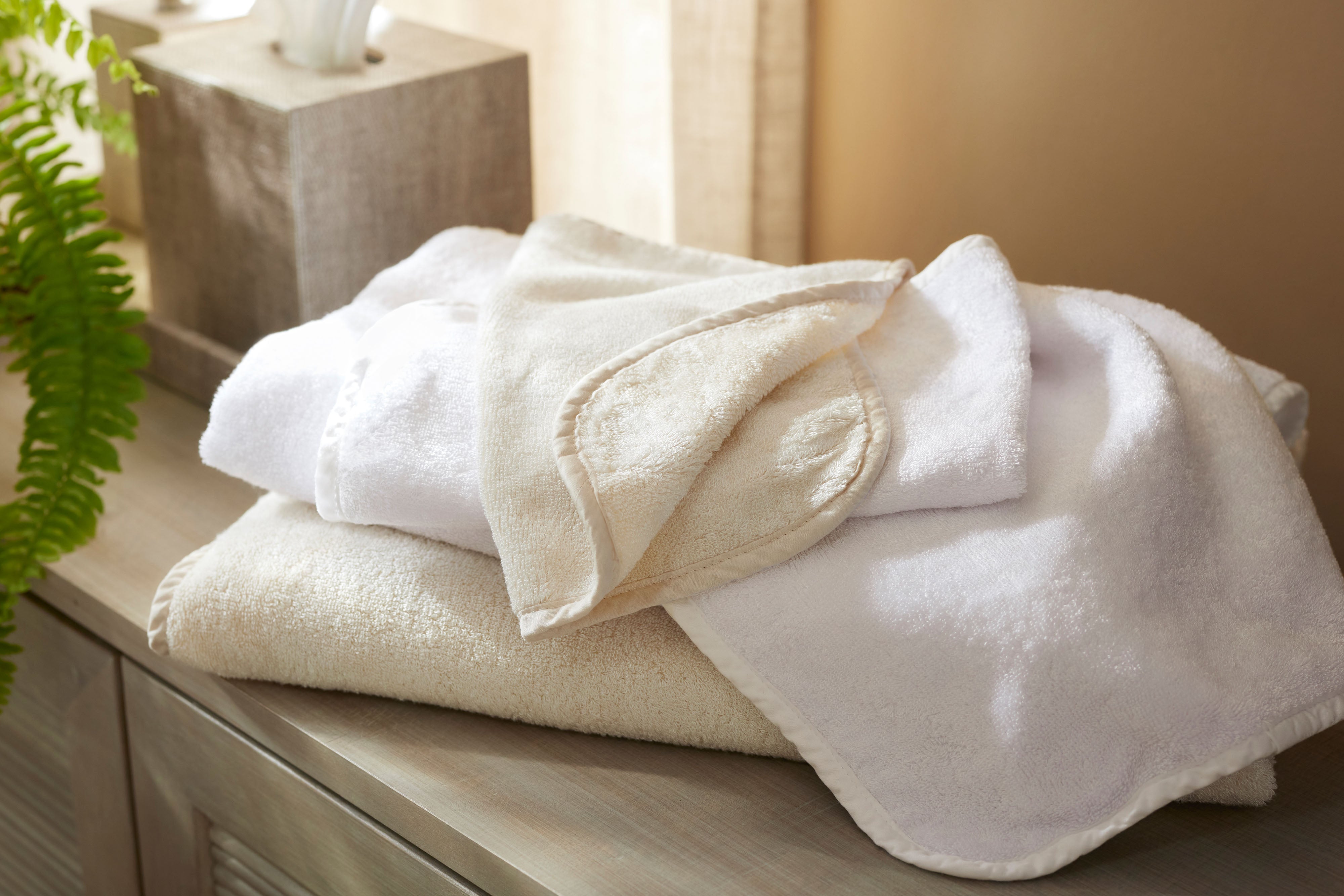 SDH_Legna_Terry_Stack_4000x.